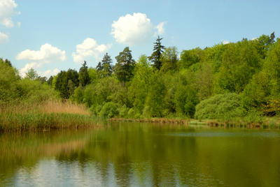 Blick auf den kleinen See in der Nähe des AK-Bildungszentrums