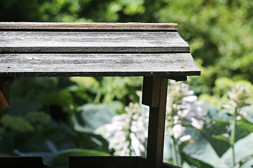 Holzvogelhaus. Im Hintergrund Blumen. Holzvogelhaus. Im Hintergrund Blumen. Foto: Ronald Westheide